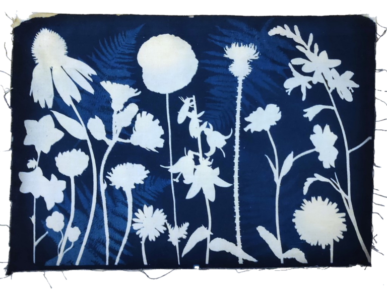 cyanotype on fabric